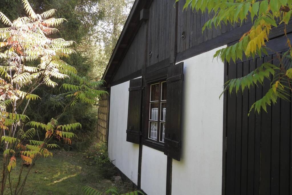 Modrzewiowy Domek Letniskowy - Stare Czaple Brodnica  Exterior foto